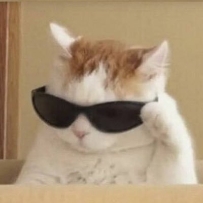 8enzos's profile picture. streamer @blazingapp • signals https://t.co/UUpVR7Gmmf