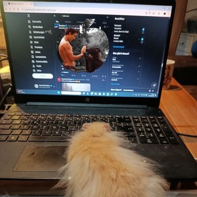 FluffFailShow's profile picture. We write the screenplays your pets live. Every paw is a plot twist, every look is an Oscar-worthy monologue. The animal drama is always epic here. 🎬🐶😼