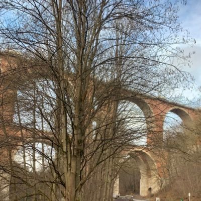 malefs's profile picture. informatik