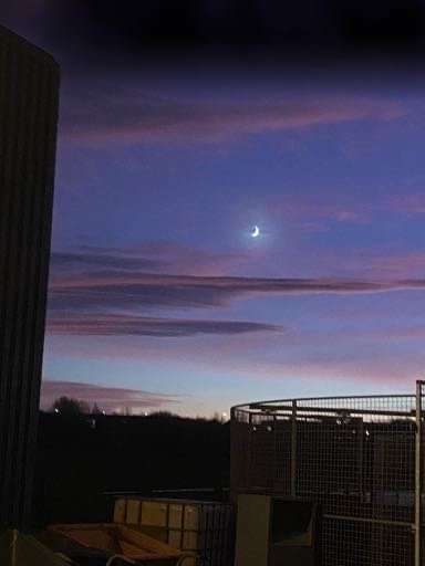 AmyWarneford's profile picture. 