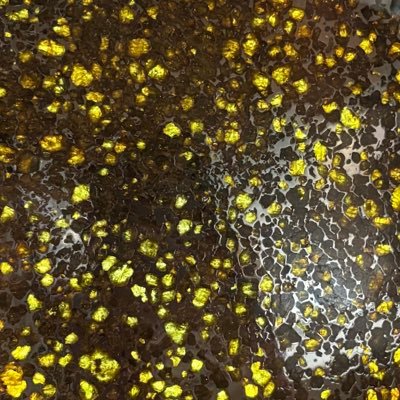 gazalandkay's profile picture. GGMU. POISE ON