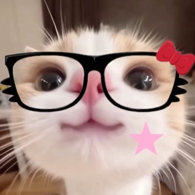 pp_spw's profile picture. fan account for ꒰♥️ #HEARTchuthiwat - หนูรักพี่ชุติ ♡ྀི ┊ ˚ ༘♡ ⋆｡˚🥚🐈‍⬛แมวดำของมี้ - #NEXNattakit ྀི