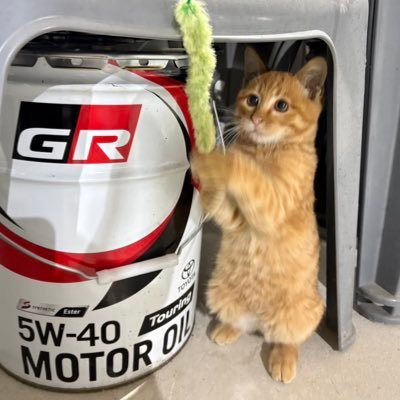 ja4mtrec's profile picture. 奈良で車屋してます。ﾏｲﾇﾝ飼育係💁‍♀️ZEROFIGHTER卒👨‍🔧 CBX、IS300h-F、62インパラ、EK9、S15、BNR32 、ZVW51、IS250、ジムニー15台、シグナス、SEADOO GTX300 &GTR215 デュトロ&エルフ積載車 最近は釣りばっかり #ゼロファイターオートカスタム