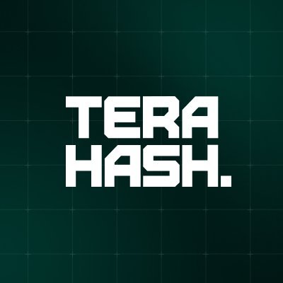 TeraHash_xyz's profile picture. Bridging the $20B Bitcoin mining market with the $200B DeFi economy. Making hashrate work for you.