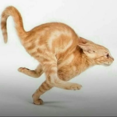 fableddd's profile picture. 