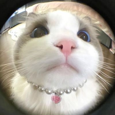 miss_giang's profile picture. I am a lovely girl and I like to make friends everywhere.