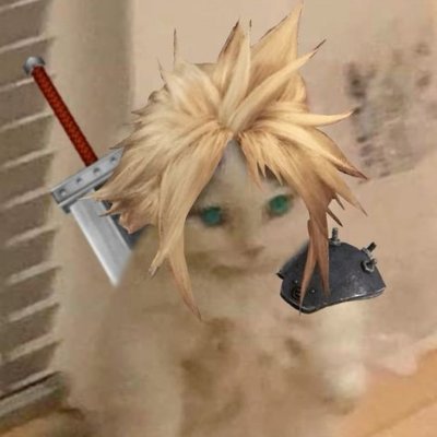 Dg6Enf7k's profile picture. 