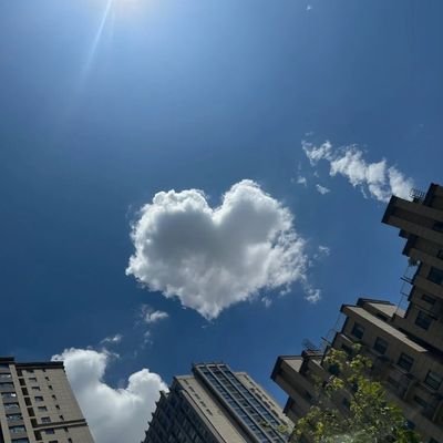 TobiAme72514's profile picture. 