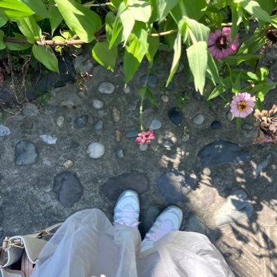 mulgyxxl's profile picture. 당신을 미소짓게 한 어떤 것도 후회하지 마라