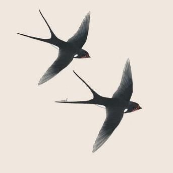 ilusionistapod's profile picture. Dirijo Proyecto Habitado pódcast. Procesos Creativos. Las palabras del pájaro.