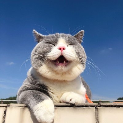 leezx_research's profile picture. 