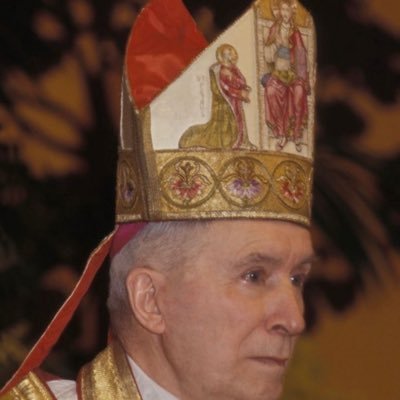 CryptoLefebvre5's profile picture. Refusons de collaborer à la destruction de L’Eglise.                                                       +Lefebvre et +Williamson, Ora Pro Nobis.