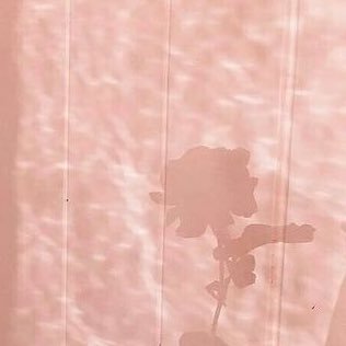 starrygloows's profile picture. 