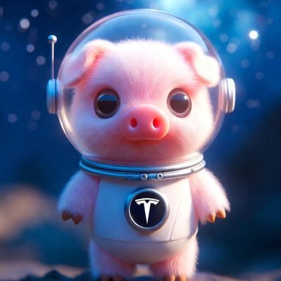 buffett80's profile picture. 💙 💎🙌 TESLA 💙