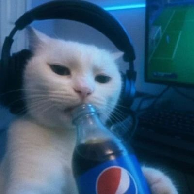 ansaya_017's profile picture. ติ่งหยิ่นวอร์ เป็นหมูยอครับ 🫡🤍