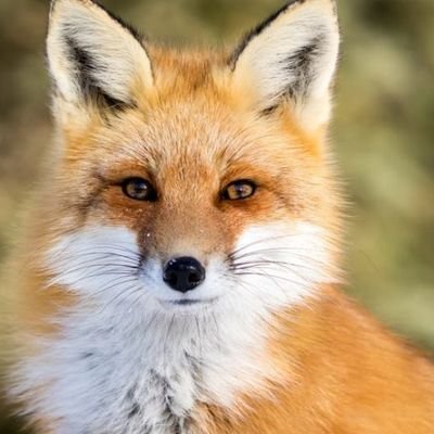 _life_second's profile picture. 𝓜𝓾𝓶𝓶𝔂 𝓭𝓸𝓷'𝓽 𝓴𝓷𝓸𝔀 𝓭𝓪𝓭𝓭𝔂'𝓼 𝓰𝓮𝓽𝓽𝓲𝓷𝓰 𝓱𝓸𝓽, 𝓪𝓽 𝓽𝓱𝓮 𝓫𝓸𝓭𝔂 𝓼𝓱𝓸𝓹, 𝓭𝓸𝓲𝓷𝓰 𝓼𝓸𝓶𝓮𝓽𝓱𝓲𝓷𝓰 𝓾𝓷𝓱𝓸𝓵𝔂