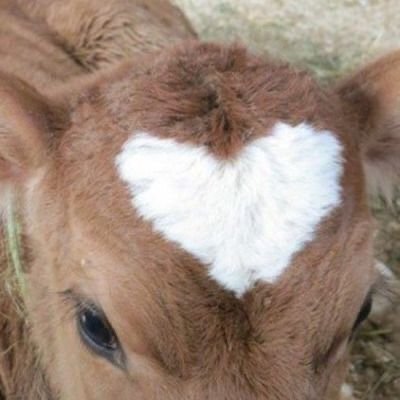 doozer_noli_DA's profile picture. 