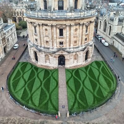 LKTMC2's profile picture. Writer, Gardener, Helper