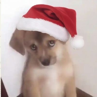 sutlukopuklu_'s profile picture. Istedigi olmayinca uzulen maymus