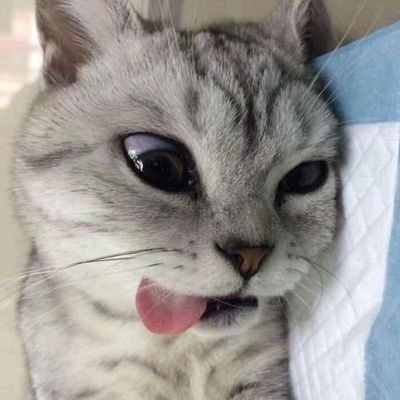 0xAfuy's profile picture. Contribute Web3