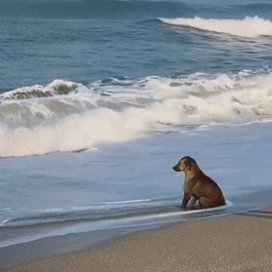 Bubbles6412's profile picture. 