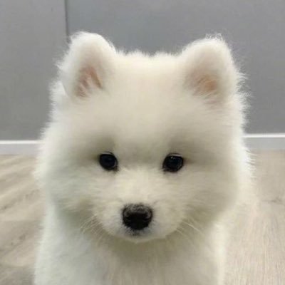 thr33twone's profile picture. ㅇㅌ 바보