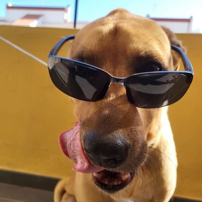 iTrade_Smart's profile picture. 