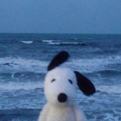 AssauIt's profile picture. 🥀