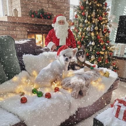 rilaan10's profile picture. Ik ben sociaal liberaal,Haat onrecht, tegen polarisatie,getrouwd,moeder van een zoon Tegen racisme en fascisme dus geen PVV, BBB en FvD🤮 schelden is block.