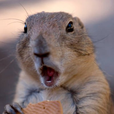 ayyray_14's profile picture. 