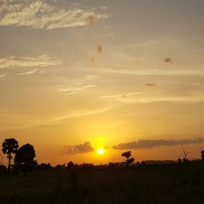 MuhdHamid39591's profile picture. 