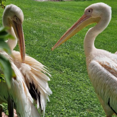 EllieRepor1xT's profile picture. 