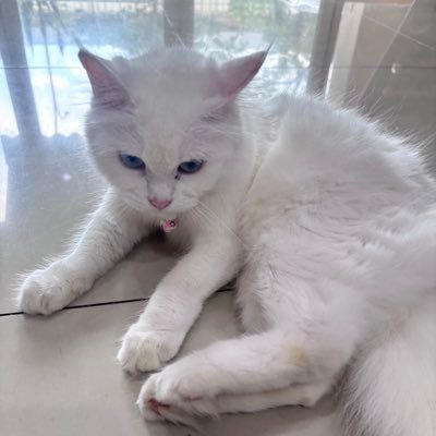 hadakkhhh's profile picture. maap ga pollo siapa siapa karena ini tempat curhat.