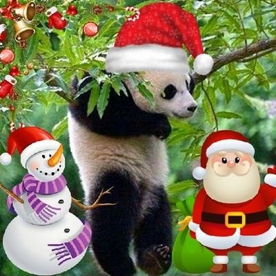 teomtn's profile picture. Νοσηλευτής