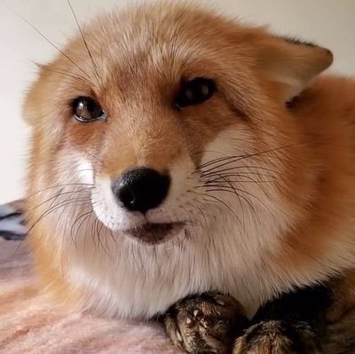 ridightone21651's profile picture. I'm Writer & big fan of Roger van der weide & Others