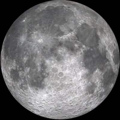 moonstudy0000's profile picture. 