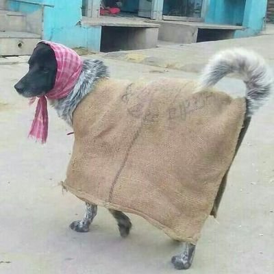 ShivamJ11254155's profile picture. जय श्री राम