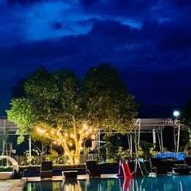 BottomBlaze4u's profile picture. “The high’s better with people who hold space for each other.”