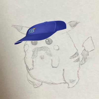 North_Hill_2500's profile picture. ムラゲ チーム雷電 横浜DeNA♯51