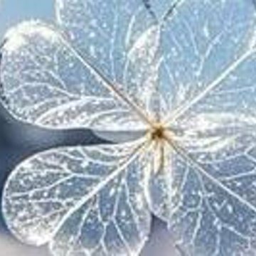 DUmbay89298's profile picture. 