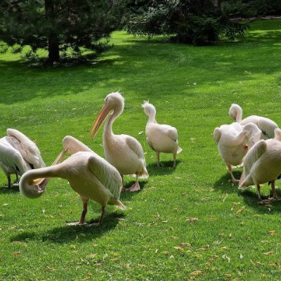 ElaraNotesulo's profile picture. 