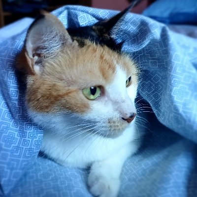 Hugt67hfr4's profile picture. 