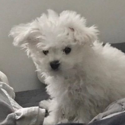 wuvyourside's profile picture. 