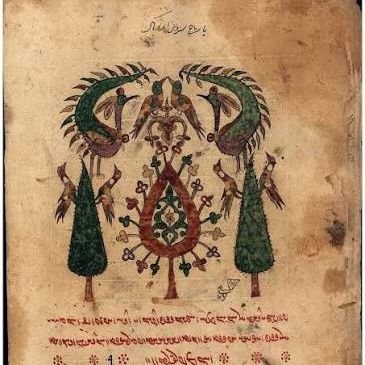 Afghan271's profile picture. *In love with the soil, not the politics. Iran is all of us — every culture, every voice.