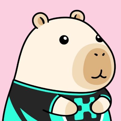 Roh0517's profile picture. TG: https://t.co/uaTwQc76Ex
My posts are not investment advice.
Always remember that investment decisions are made at your own discretion and responsibility.