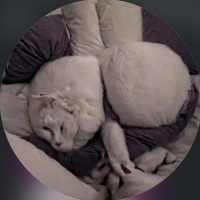 galileu1609's profile picture. nothing to see here