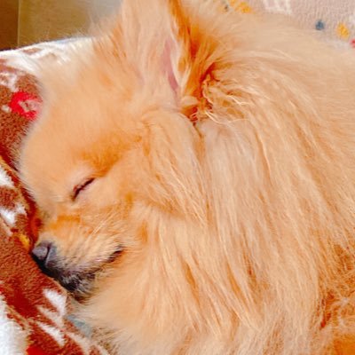 U_l5z's profile picture. ｳｽﾞ｜20⤴︎︎︎ cos