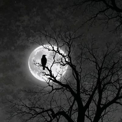 kev_forshort's profile picture. #GGMU || #HalaMadrid || I occasionally write code.