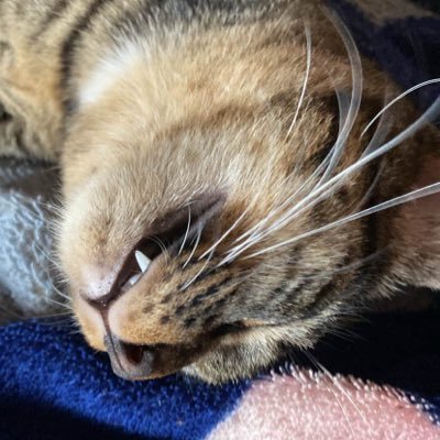 Oum_Oum4231's profile picture. 