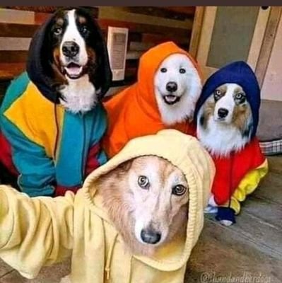 Sweetlyn2020's profile picture. Resolutor/Mediator/Writer/Peterobi's fan/🌍good governance Stan,i tweet for fun.